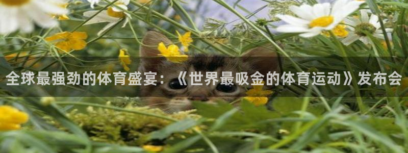 betway西汉姆联官网