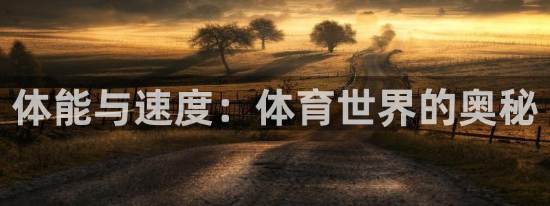 必威betway西汉姆联