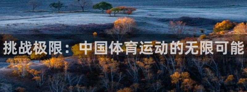 betway西汉姆