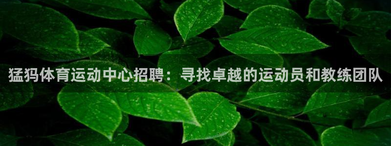 必威betway西汉姆联