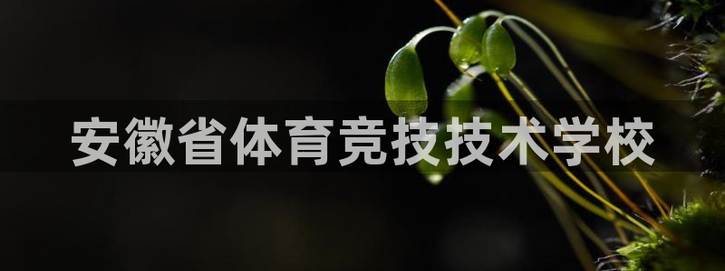 betway西汉姆联