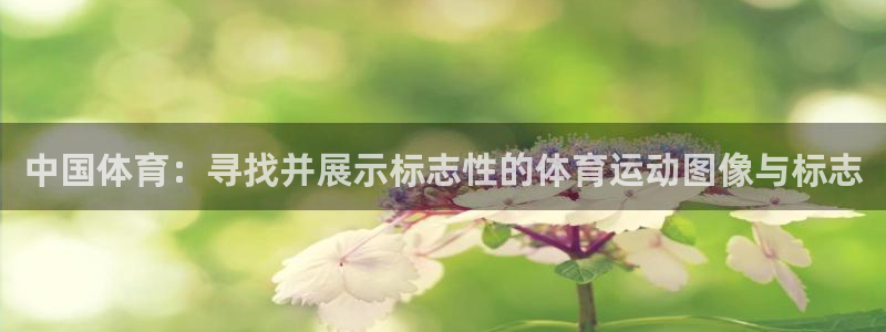 betway西汉姆联